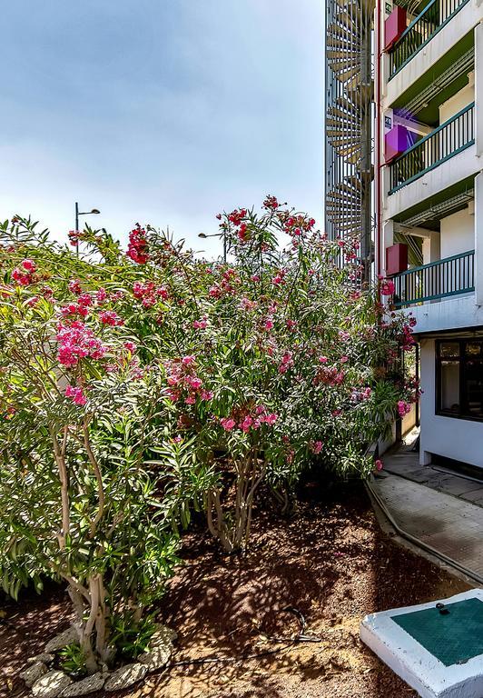 Vina Del Mar Ocean Apartment Playa de las Americas  Exterior photo